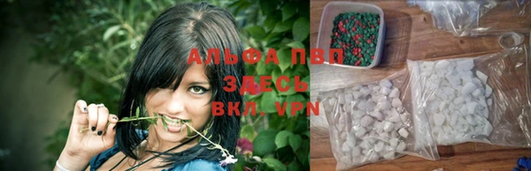 ГАЛЛЮЦИНОГЕННЫЕ ГРИБЫ Киренск