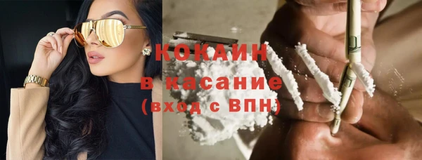 прущие грибы Карпинск
