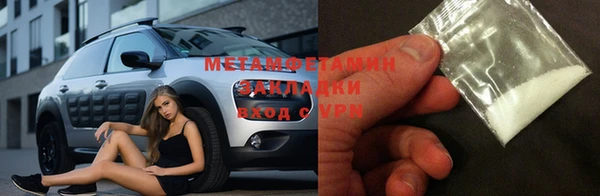 прущие грибы Карпинск