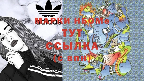 прущие грибы Карпинск