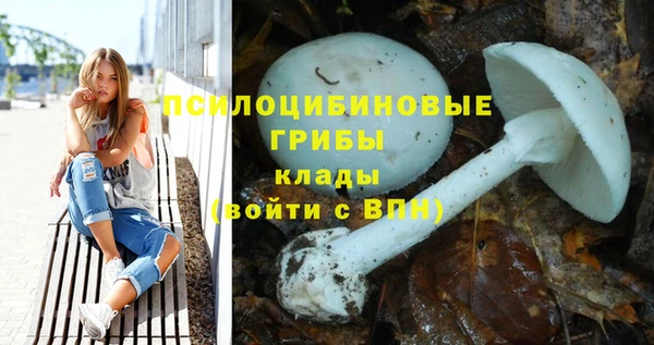 прущие грибы Карпинск