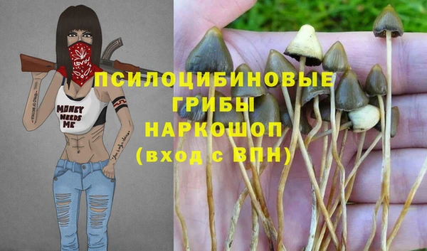 экстази Касимов