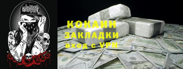 прущие грибы Карпинск