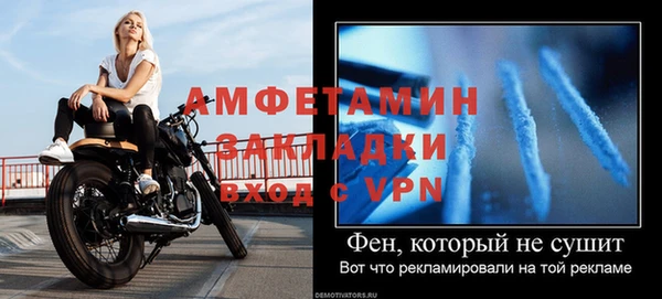 прущие грибы Карпинск