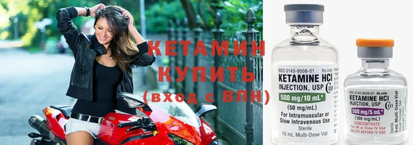прущие грибы Карпинск
