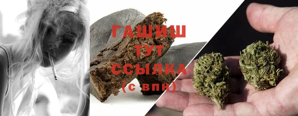 прущие грибы Карпинск